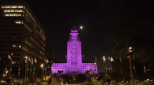 City Hall Lights Up Purple for Overdose Awareness